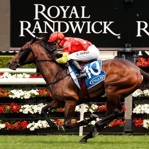 Image post by @australianturfclub on Instagram