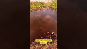 Video post by @fuse_lenses on YouTube