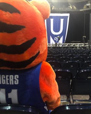 Image post by @uofmemphis on Instagram