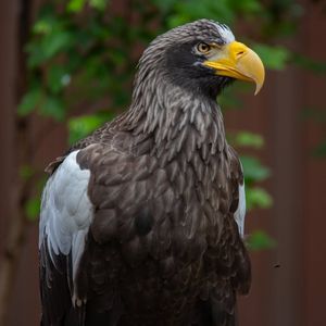 Image post by @national_aviary on Instagram