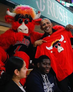 Image post by @bennythebull on Instagram