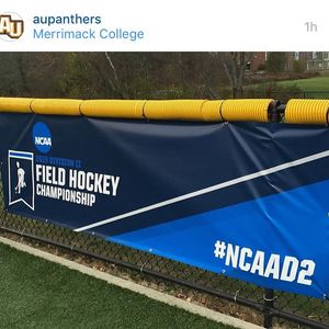 Image post by @adelphifh on Instagram