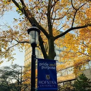 Image post by @hofstrau on Instagram