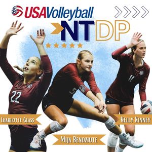 Image post by @mytribevolleyball on Instagram