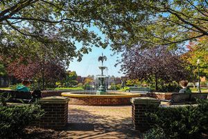 Image post by @bloomsburgu on Instagram