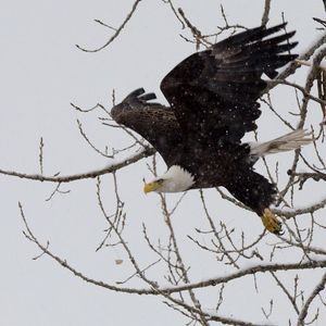 Image post by @kylecoopah on Instagram