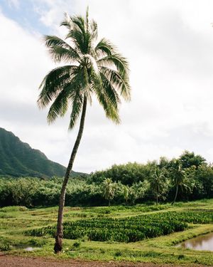 Image post by @olukai on Instagram