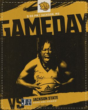 Image post by @uapblionswbb on Instagram