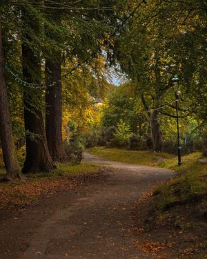 Image post by @VisitScotland on Twitter