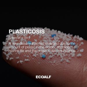 Image post by @ecoalf on Instagram