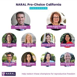 Image post by @reproforallca on Instagram