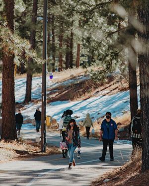 Image post by @nauflagstaff on Instagram