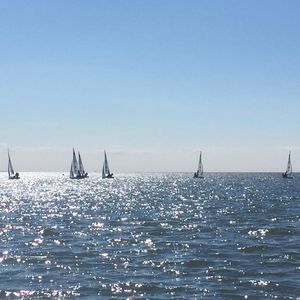 Image post by @yalesailing on Instagram
