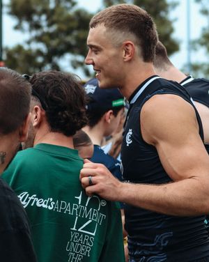 Image post by @carlton_fc on Instagram