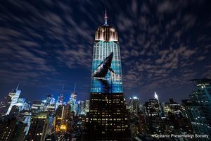 Image post by @discovery on Instagram