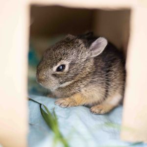 Image post by @bouldermagazine on Instagram