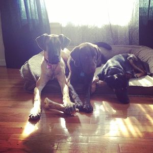 Image post by @chrishogan_15 on Instagram