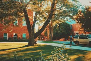 Image post by @nauflagstaff on Instagram