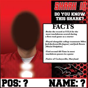 Image post by @jaxsharks on Instagram