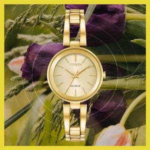 Image post by @citizenwatchus on Instagram