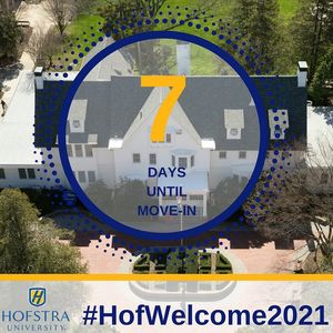 Image post by @hofstrau on Instagram