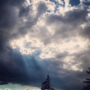Image post by @lifesadiscoball on Instagram
