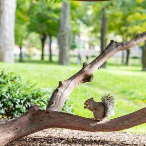 Image post by @harvard on Instagram