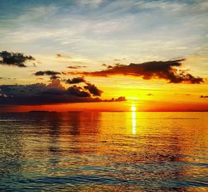 Image post by @mmhammond on Instagram