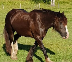 Image post by @equine_passion_online on Instagram