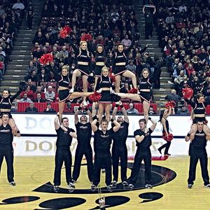 Image post by @gobearcatscheer on Instagram