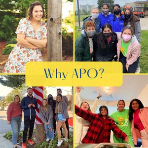 Image post by @apo.mu on Instagram