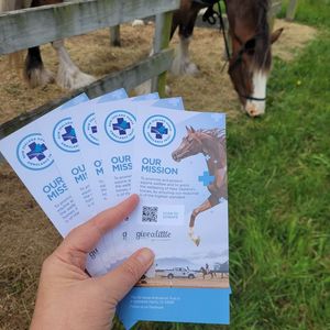 Image post by @NZHorseAmbulanceTrust on Facebook