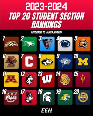 Image post by @everythingcollegehockey on Instagram