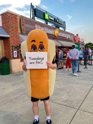 Image post by @IronPigs on Twitter