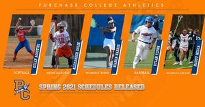 Image post by @purchasecollegeathletics on Instagram