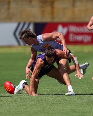 Image post by @freodockers on Instagram
