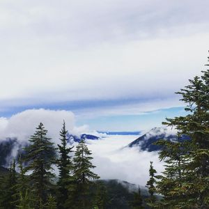 Image post by @amandakl on Instagram