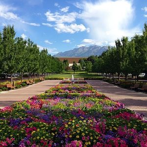 Image post by @brighamyounguniversity on Instagram