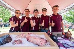 Image post by @tamu on Instagram