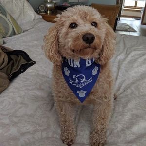 Image post by @setonhall on Instagram