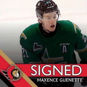 Image post by @sens_network on Instagram