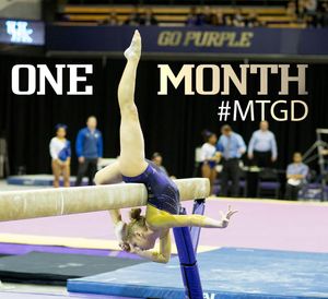 Image post by @uwgymnastics on Instagram
