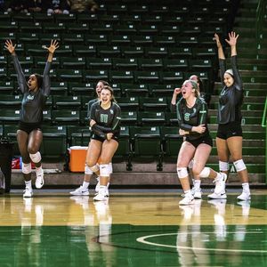 Image post by @meangreenvb on Instagram