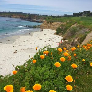 Image post by @pebblebeachresorts on Instagram