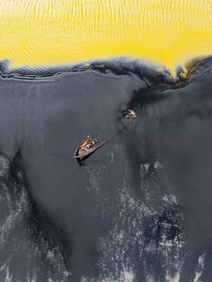 Image post by @Discovery on Twitter