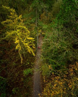 Image post by @amy.kennedy.photos on Instagram