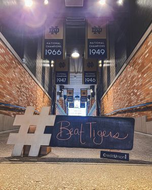 Image post by @thefightingirish on Instagram