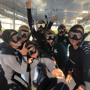 Image post by @msu_wgolf on Instagram