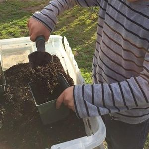 Image post by @kidsgardening on Instagram