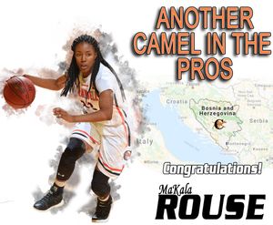 Image post by @GoCamelsWBB on Twitter